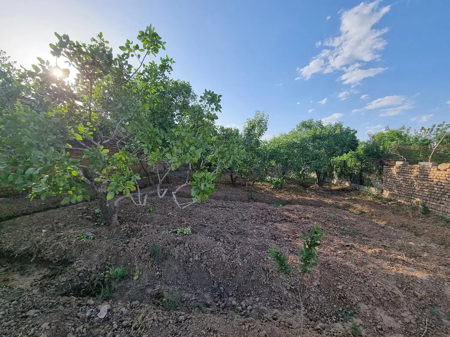 فروش زمین در بافت روستا ی صدر آباد|فروش زمین و ملک کلنگی|بوئین زهرا, |دیوار