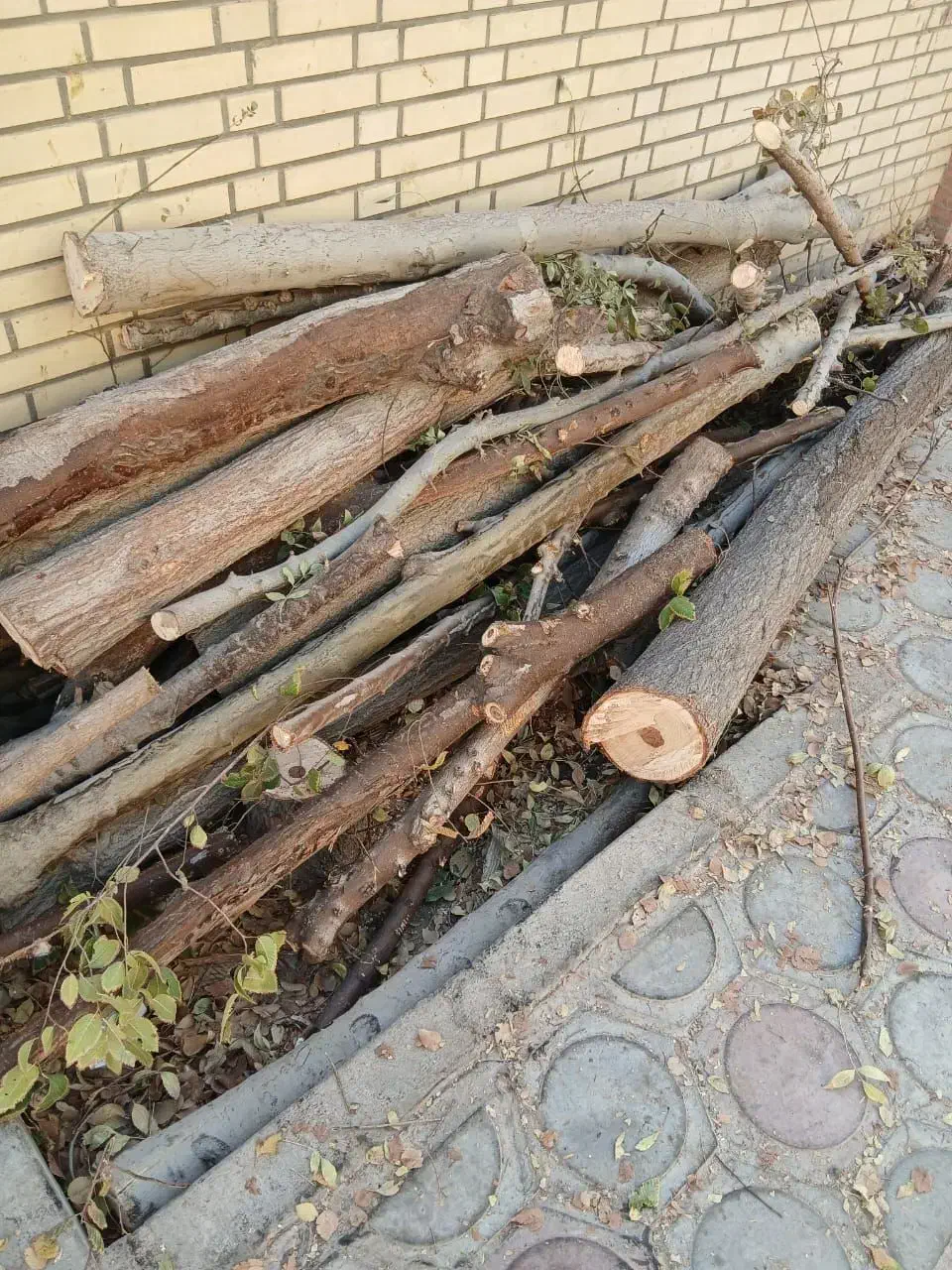 خرید چوب|خدمات باغبانی و درختکاری|نجفآباد, گلدشت|دیوار