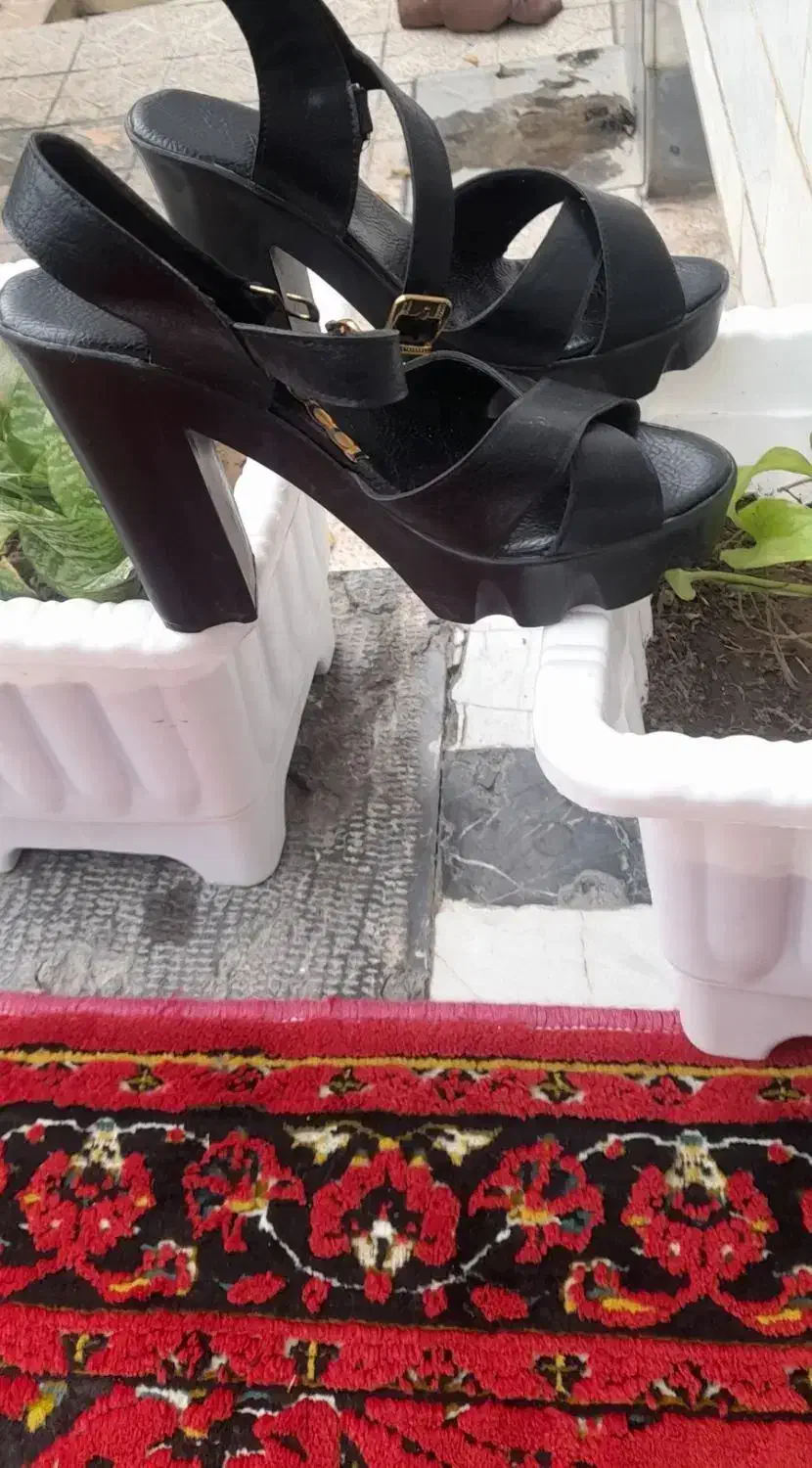 سایز۳۹|کیف، کفش، کمربند|اردبیل, |دیوار