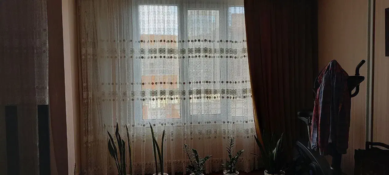 پرده|پرده، رانر، رومیزی|مشهد, شهید بهشتی|دیوار