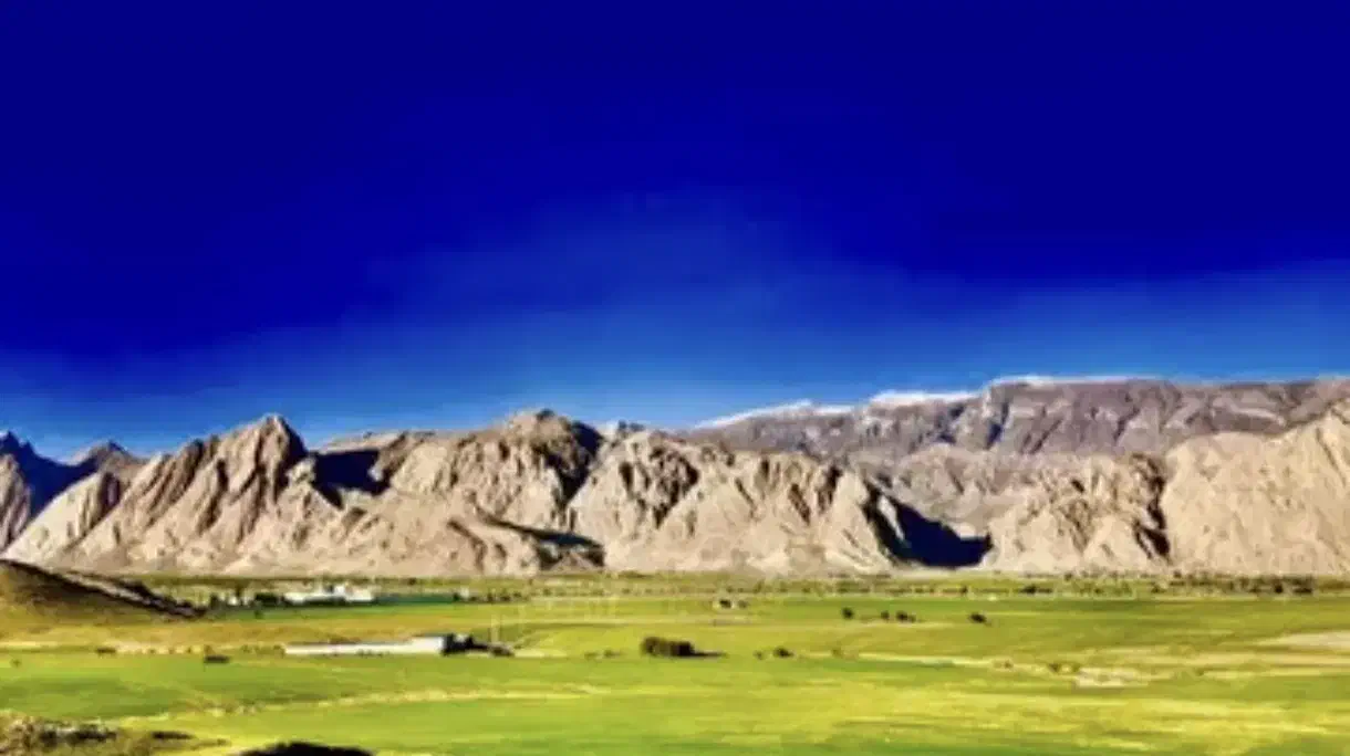 اجاره ۴ هکتار زمین کشاورزی|فروش دفتر صنعتی، کشاورزی، تجاری|دوگنبدان, |دیوار