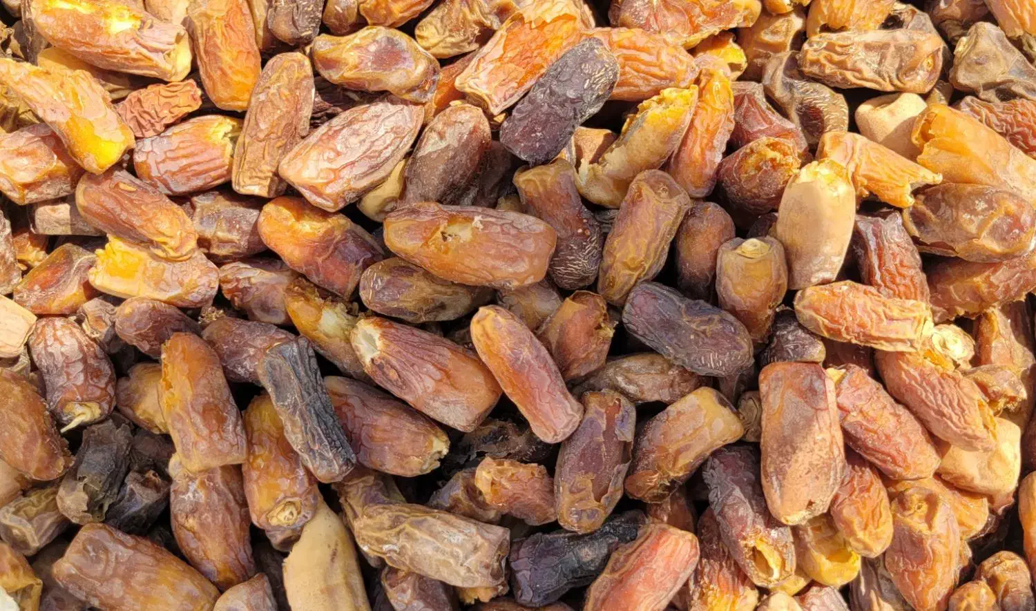 خرمای پیارم و ضایعات پیارم|حراج|داراب, |دیوار