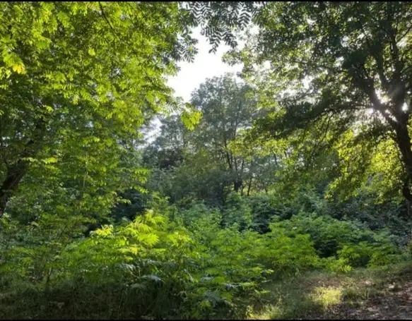 خونه 300متری گلمکان|فروش خانه و ویلا|گلمکان, |دیوار