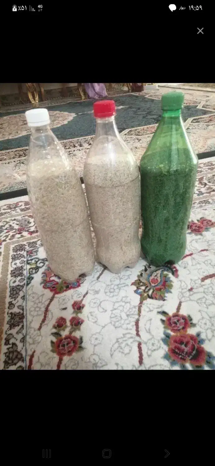 بذر کشاورزی|گل و گیاه طبیعی|کوهدشت, |دیوار