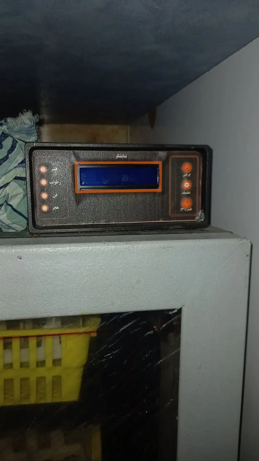 تخم نطفه دار بوقلمون اردک غاز مرغ|حیوانات مزرعه|محمدشهر, محمدشهر|دیوار