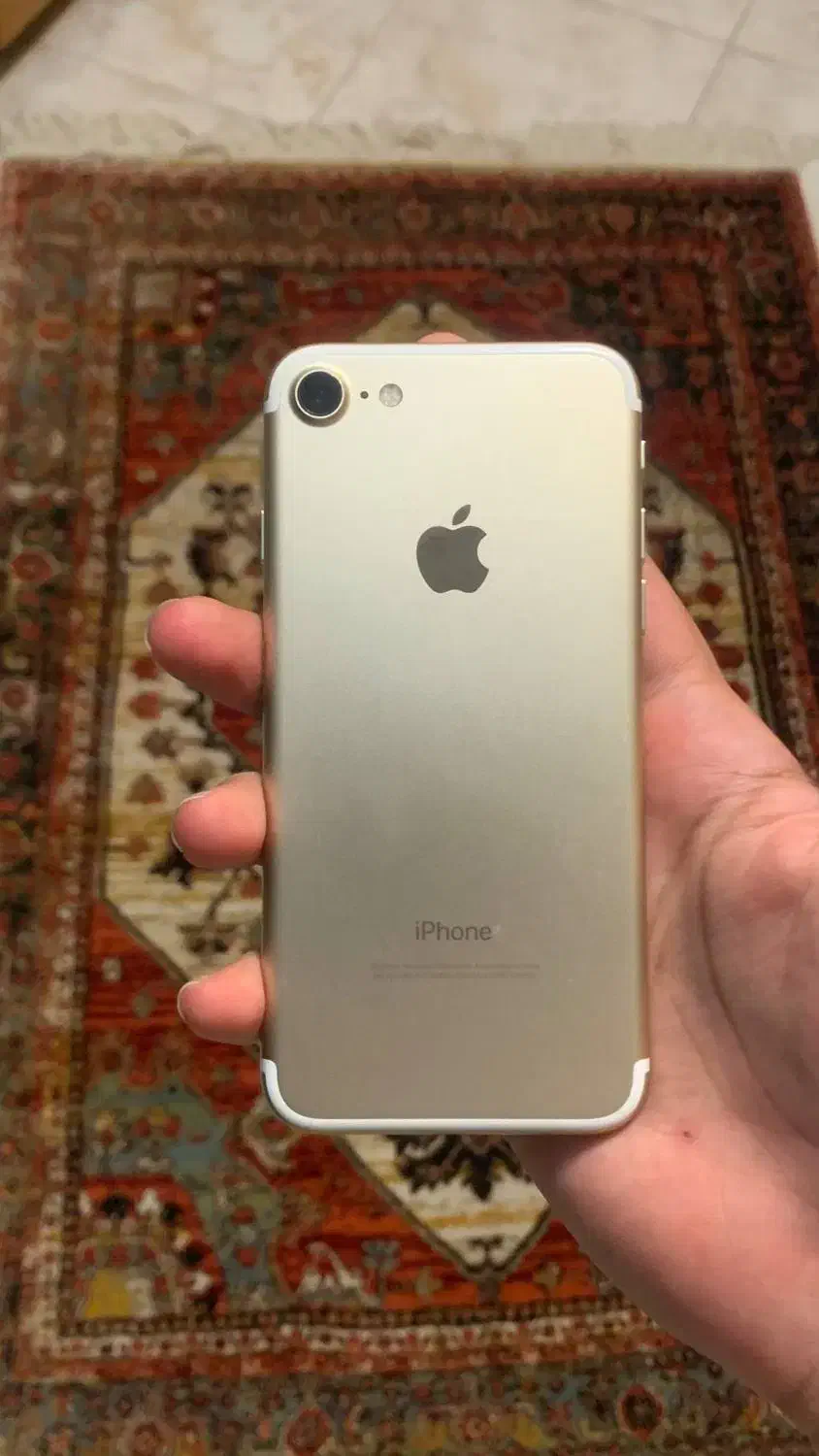 iPhone 7|موبایل|شیراز, قدوسی غربی|دیوار