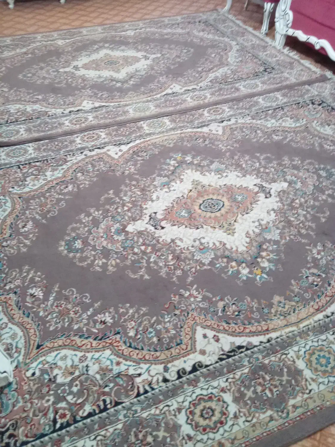 فرش ۶متری|فرش|نسیمشهر, |دیوار