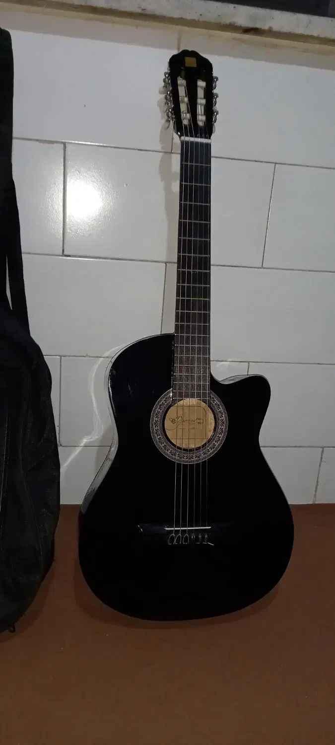 فروش گیتار همراه با کیف|گیتار، بیس، امپلیفایر|بافق, |دیوار