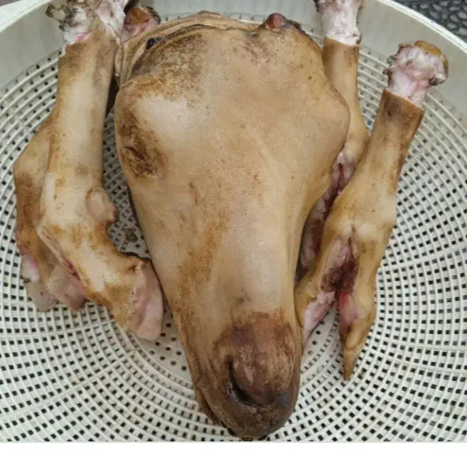 کله پاچه تمیز میکنم|خدمات نظافت|مسجد سلیمان, |دیوار