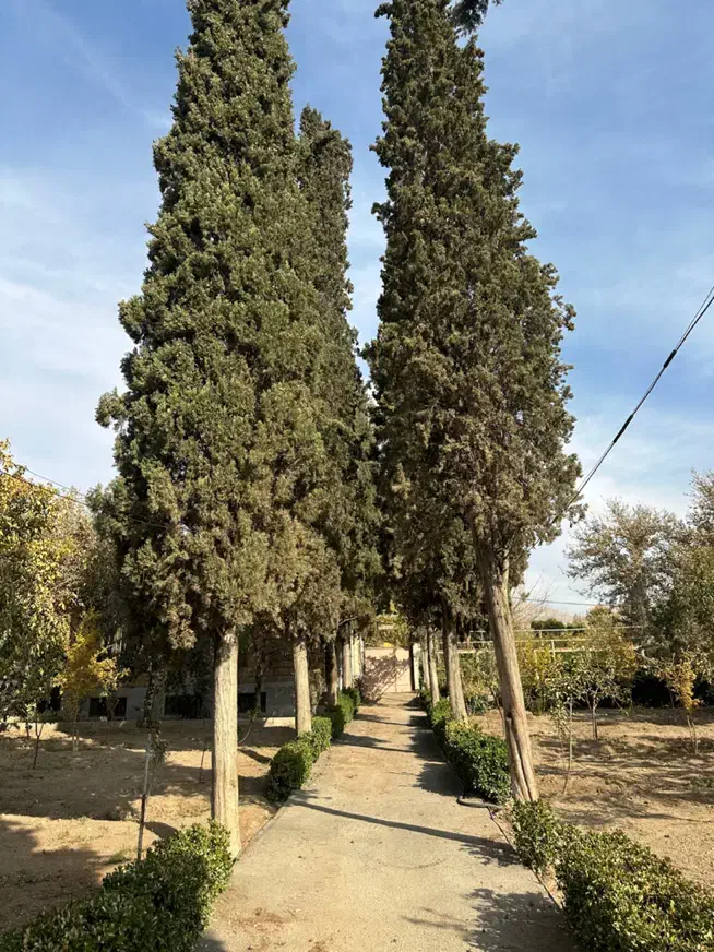 کردان کمالشهر صنعتی ۱۸۰۰ متر با ۴۰۰ متر سوله|فروش دفتر صنعتی، کشاورزی، تجاری|کرج, کمال‌شهر|دیوار