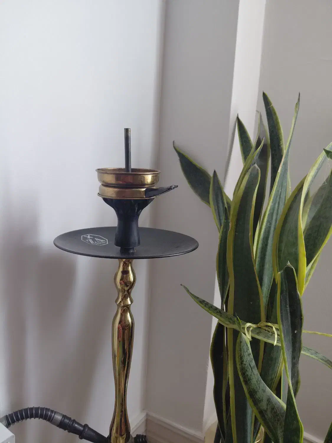 قلیون عربی|کافیشاپ و رستوران|محمدشهر, محمدشهر|دیوار