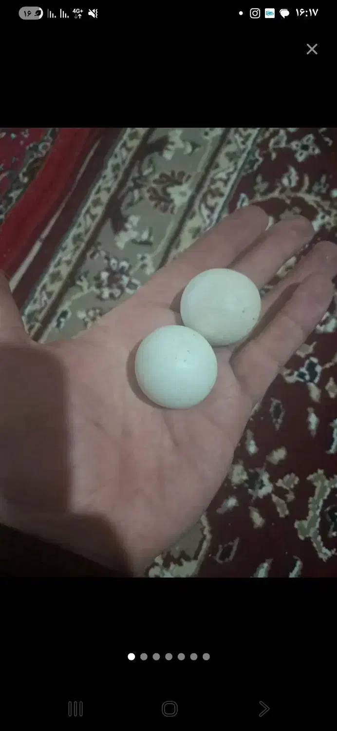 سنگ آسیاب الماس کهنه قدیمی|جواهرات|قم, نیروگاه|دیوار