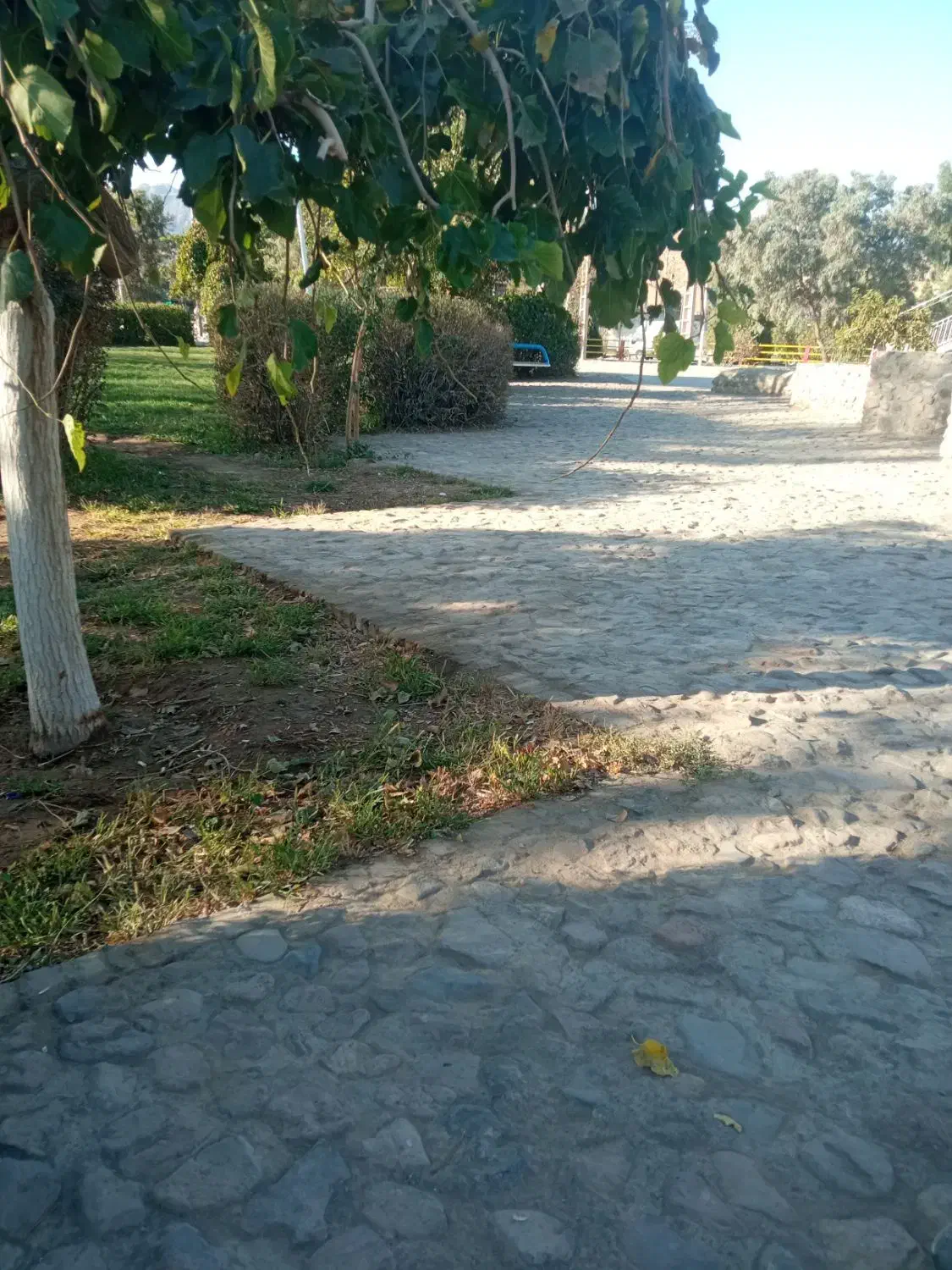 یک عدد کیف قهوه‌ای رنگ پیام شده بنام محمدی|اشیا|بیرجند, |دیوار