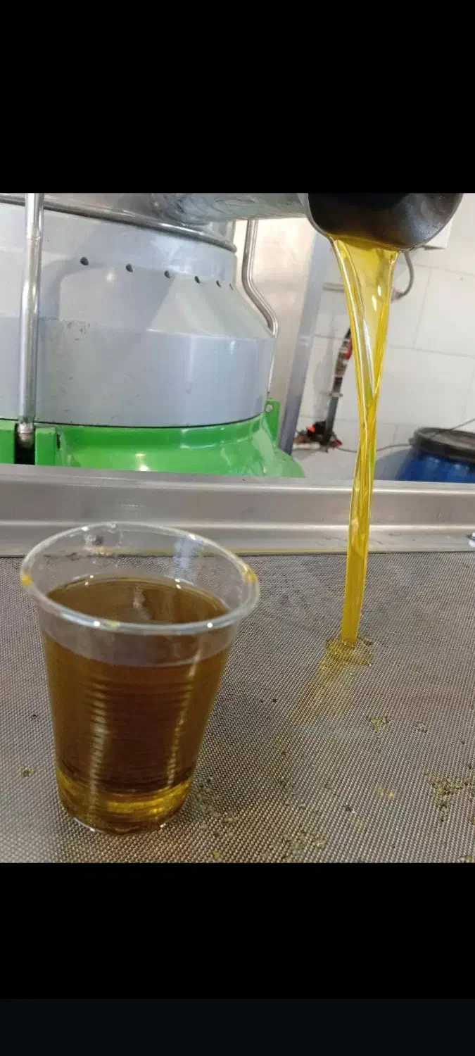 فروش زیتون و روغن زیتون بصورت کلی و جزعی|خوردنی و آشامیدنی|رودبار, |دیوار