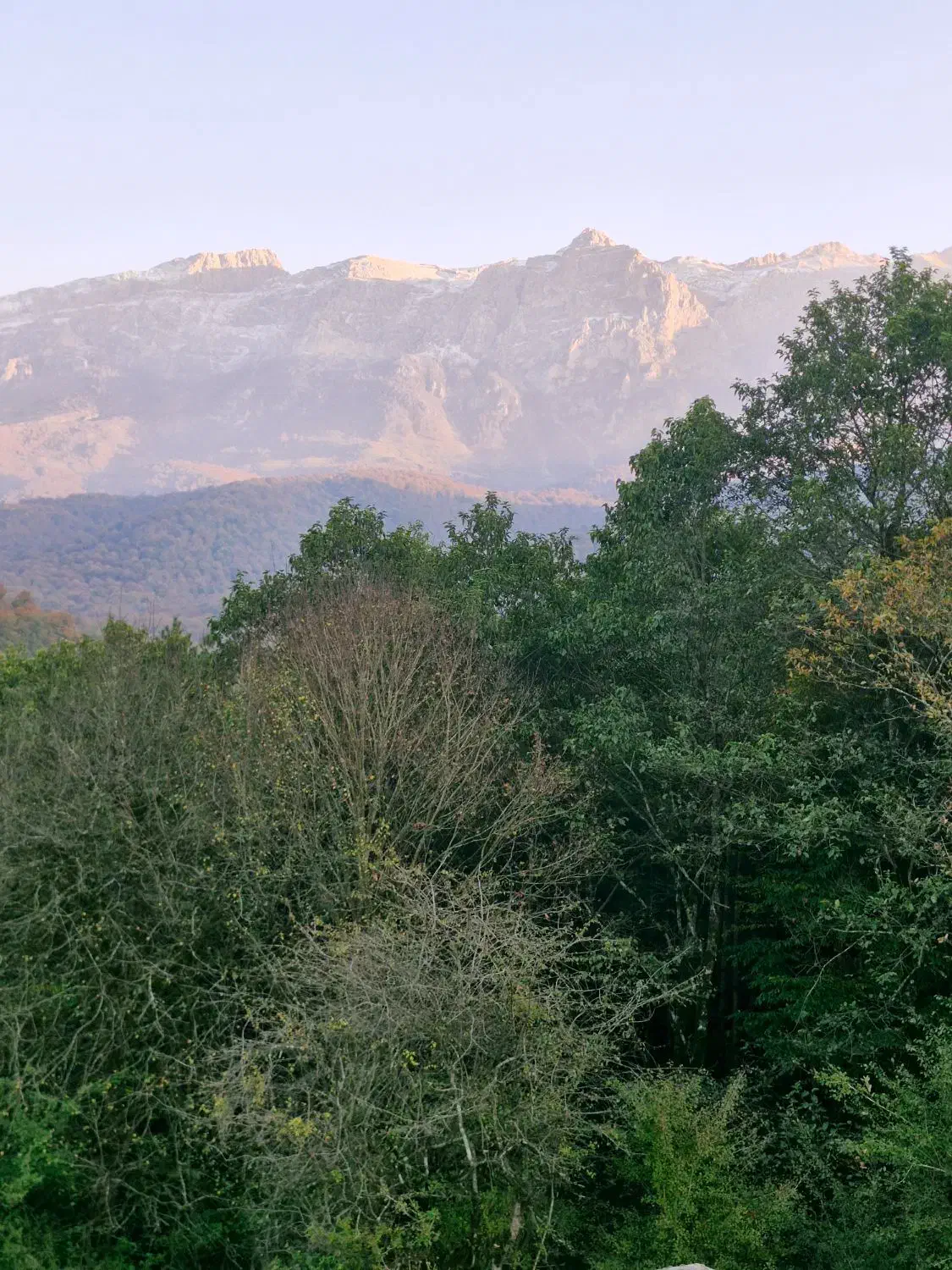 زمین ۴۵۰ متری ورپی|فروش زمین و ملک کلنگی|پل سفید, |دیوار