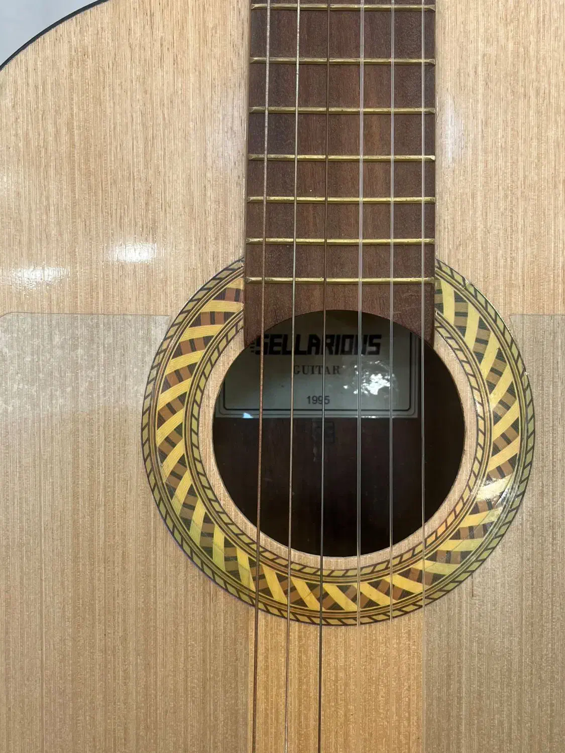 گیتار کلاسیک سلاریوس|گیتار، بیس، امپلیفایر|کرمان, |دیوار