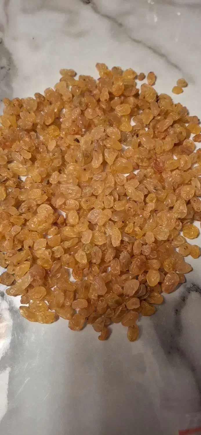 گلدن طلایی انگوری|خوردنی و آشامیدنی|تهران, بازار|دیوار