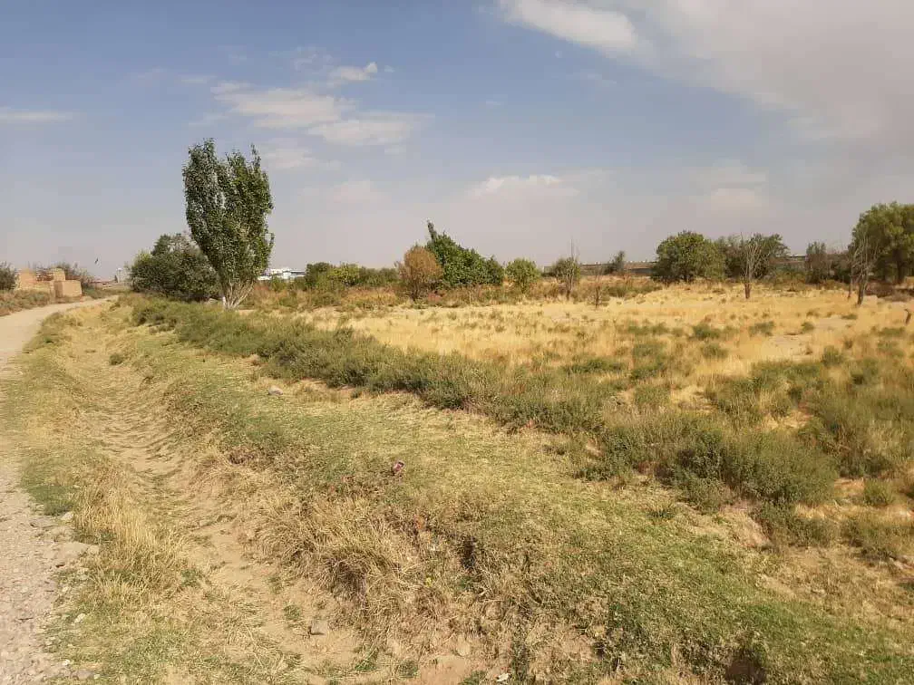زمین ۲۰۰۰ متری بوئین زهرا در طرح هادی و روستایی|فروش زمین و ملک کلنگی|بوئین زهرا, |دیوار
