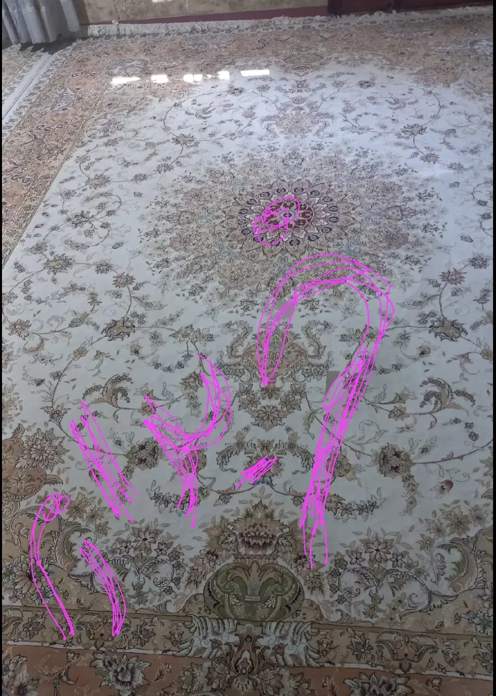 فرش ۶ متری|فرش|کرمانشاه, |دیوار