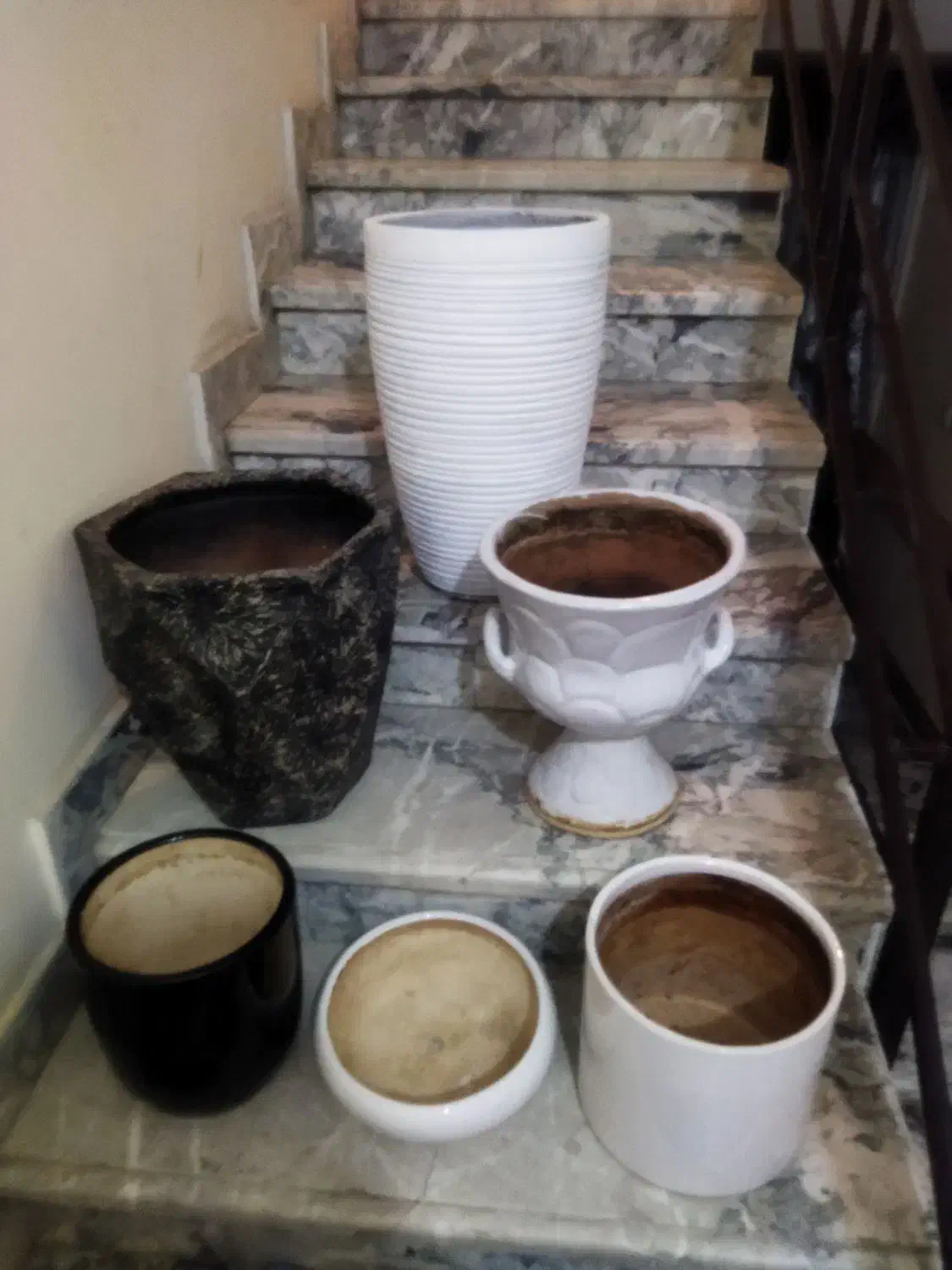 گل و گلدان سفالی|گل و گیاه طبیعی|مشهد, مشکینی (شهرک غرب)|دیوار