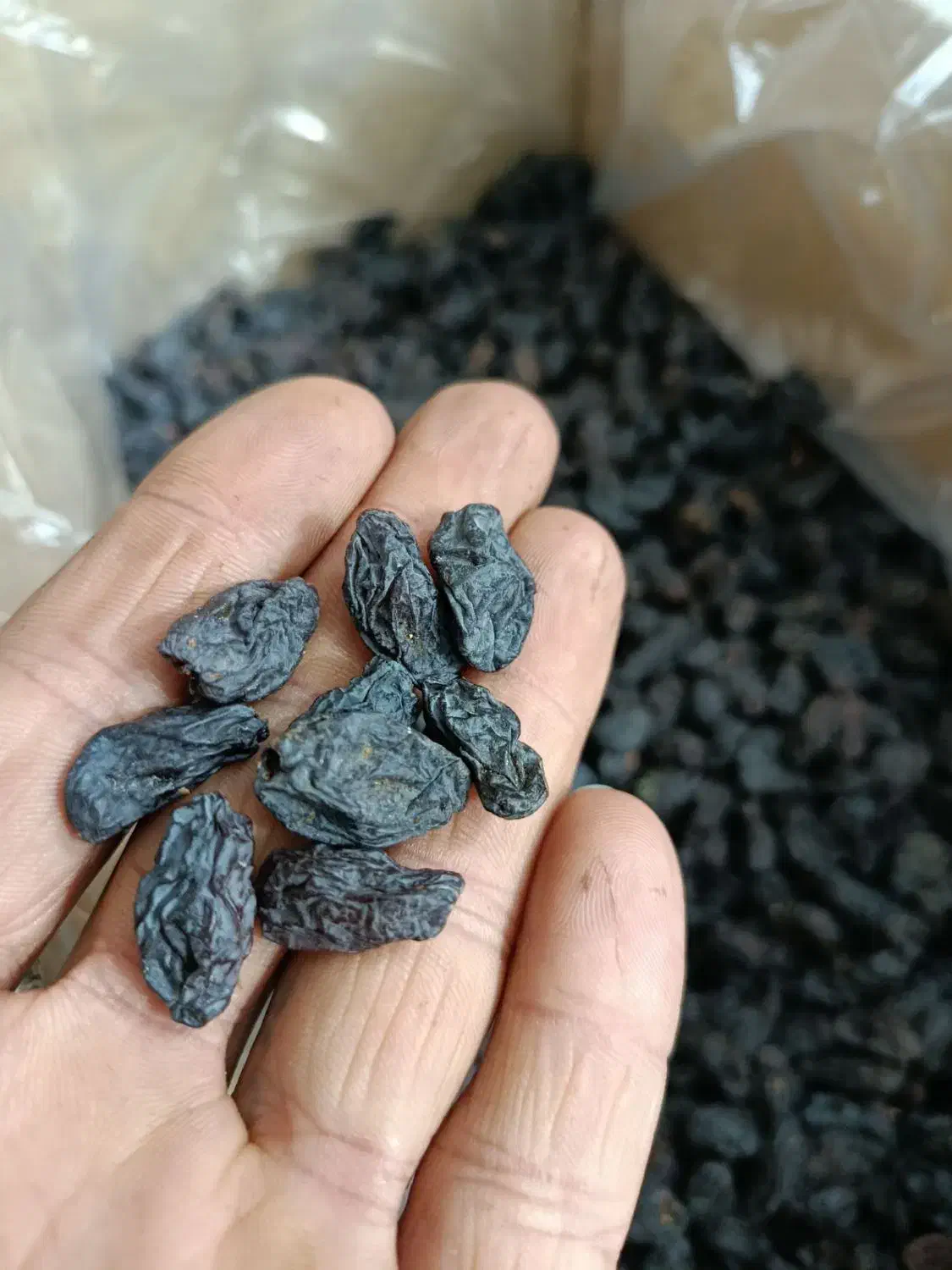 کشمش شانی سیاه|خوردنی و آشامیدنی|ملایر, |دیوار