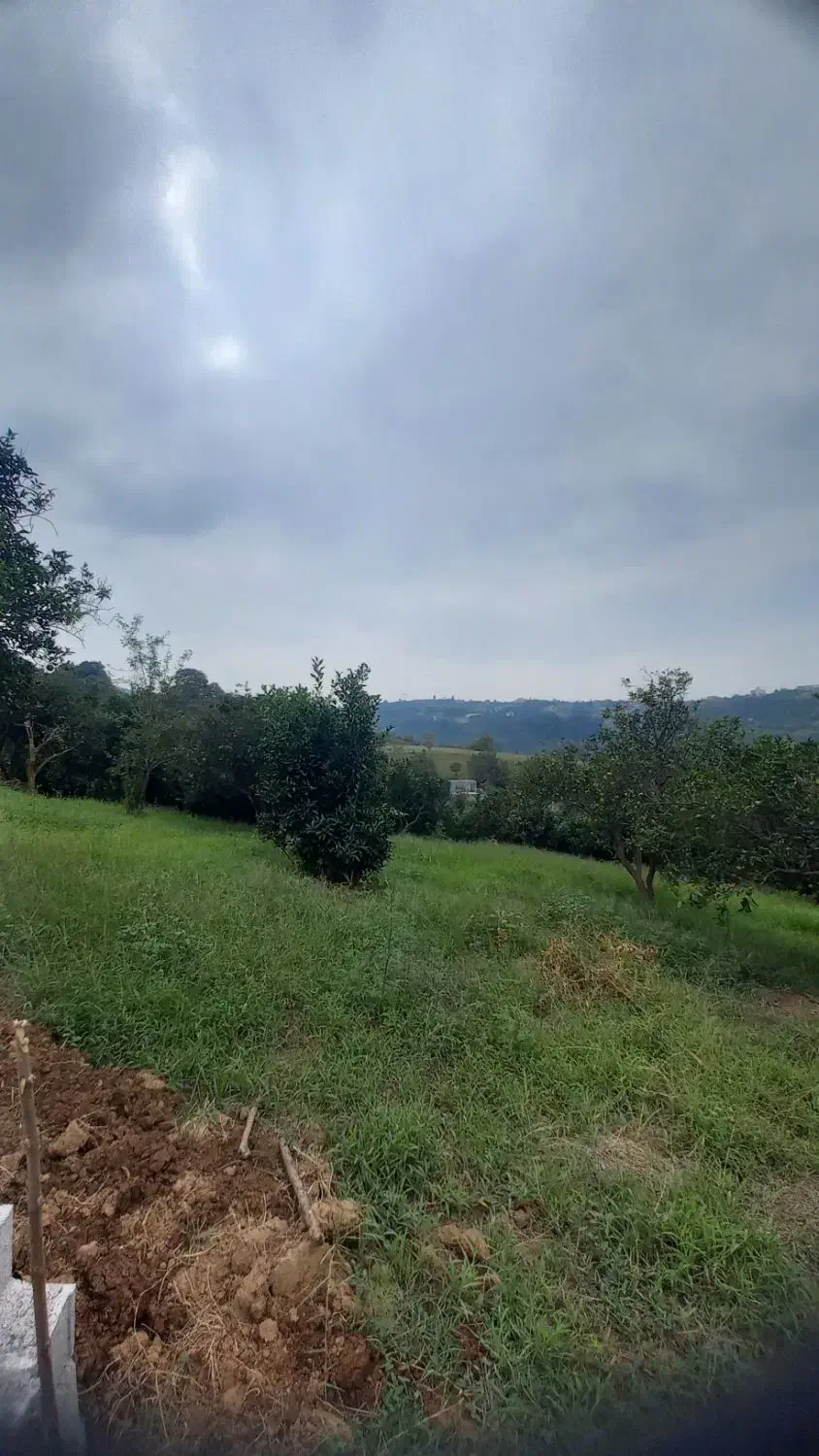 زمین باغی با ویو عالی|فروش دفتر صنعتی، کشاورزی، تجاری|قائمشهر, |دیوار