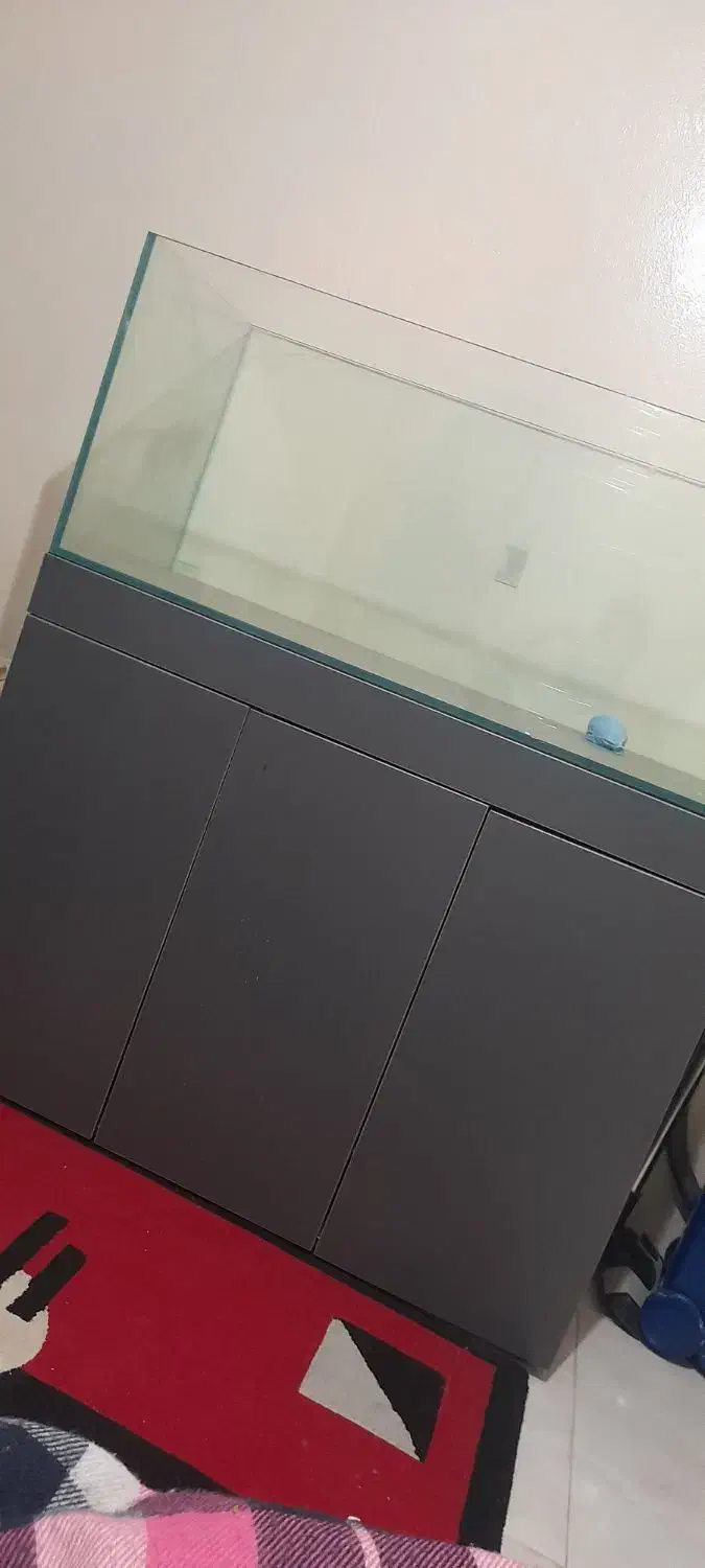 آکواریوم apa|ماهی|محمدشهر, هزار واحدی|دیوار