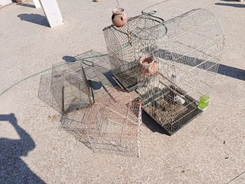 قفس بزرگ برای طوطی سانان|لوازم جانبی حیوانات|فردیس, شهرک ناز|دیوار