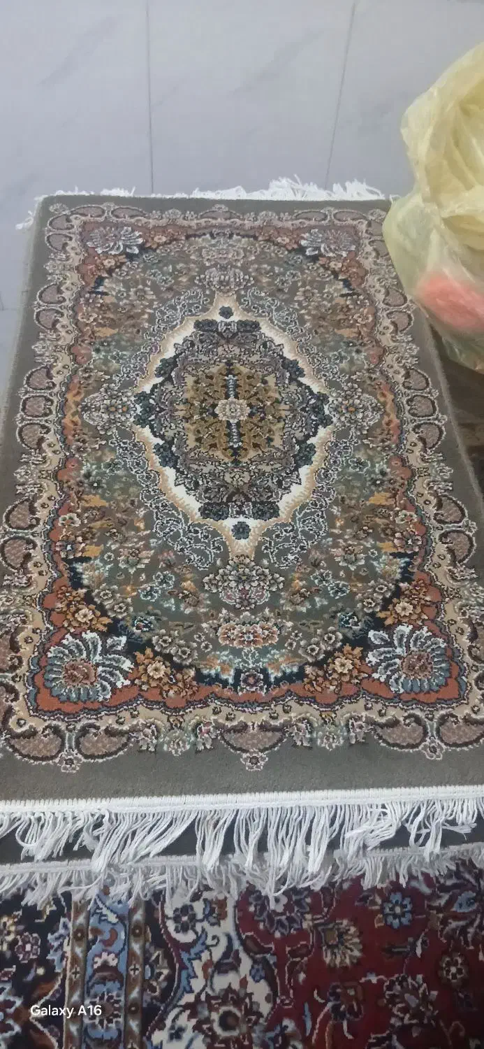 پادری|پادری|قم, لسانی|دیوار