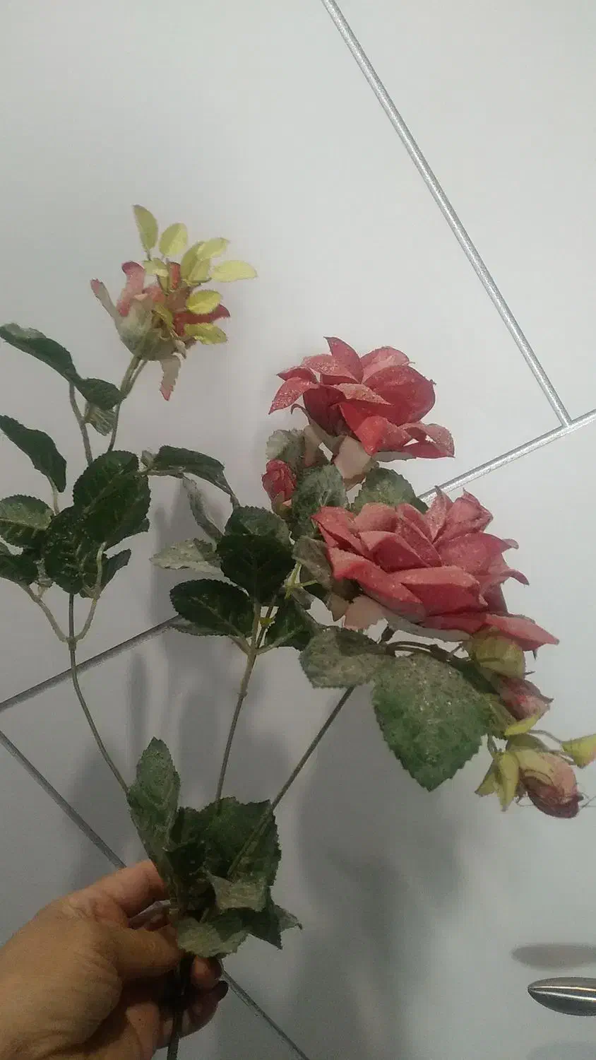 گل و گلدان چوبی|گل مصنوعی|اردبیل, |دیوار