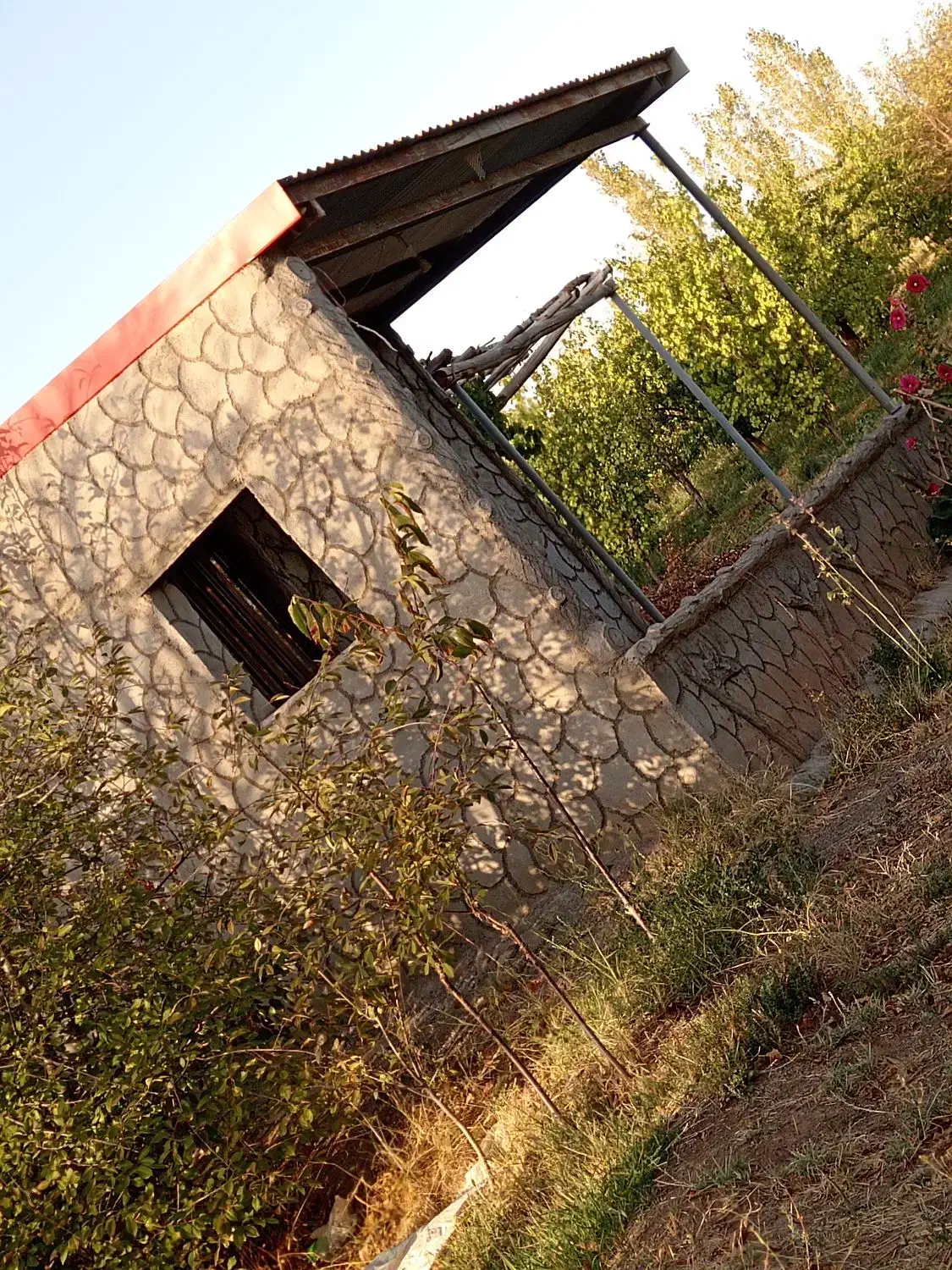 فروش باغ|فروش زمین و ملک کلنگی|یامچی, |دیوار