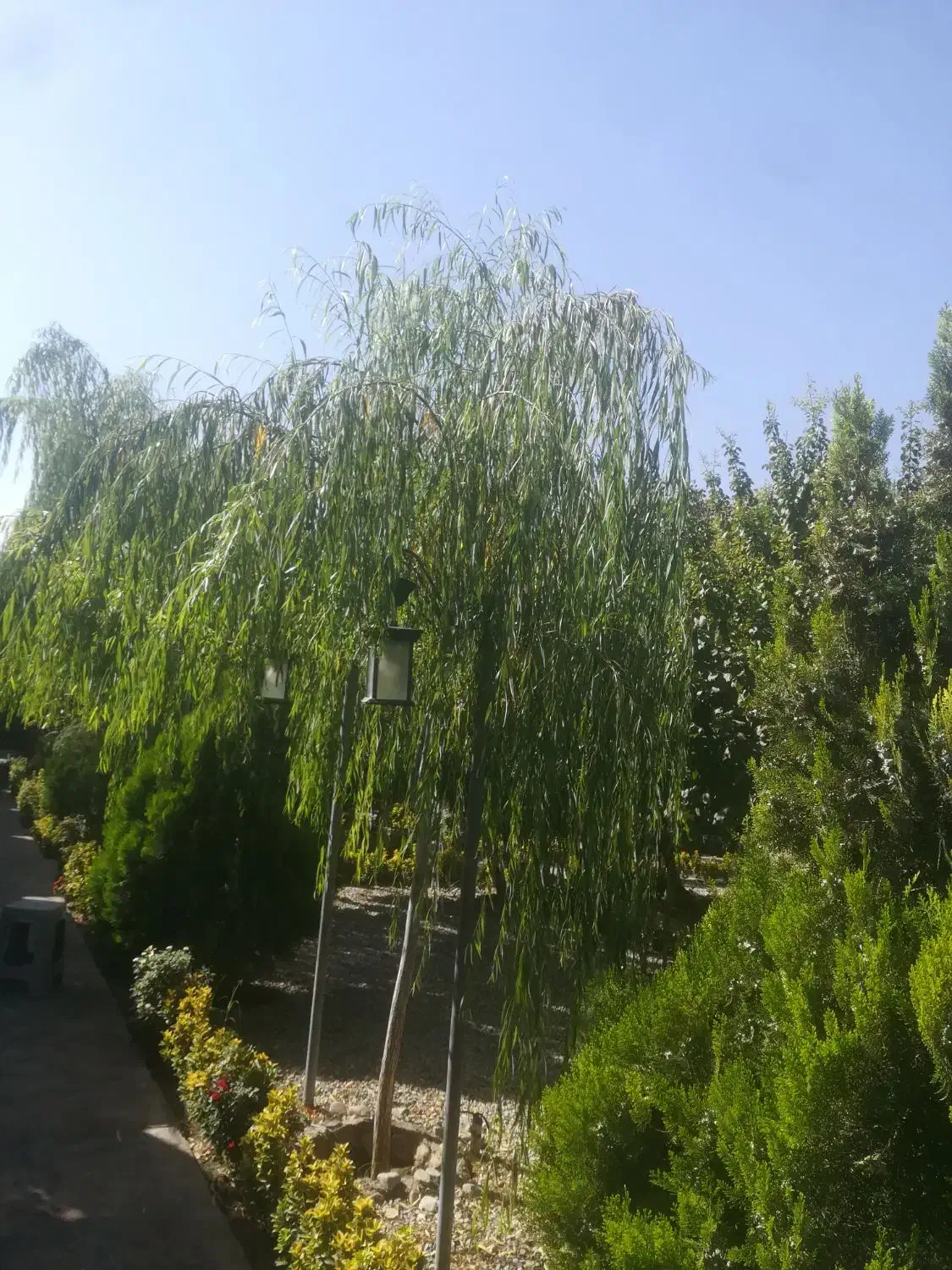 کارگر ساده باغچه رستوران با جای خواب|استخدام خدمات فروشگاه و رستوران|چهاردانگه (تهران), |دیوار