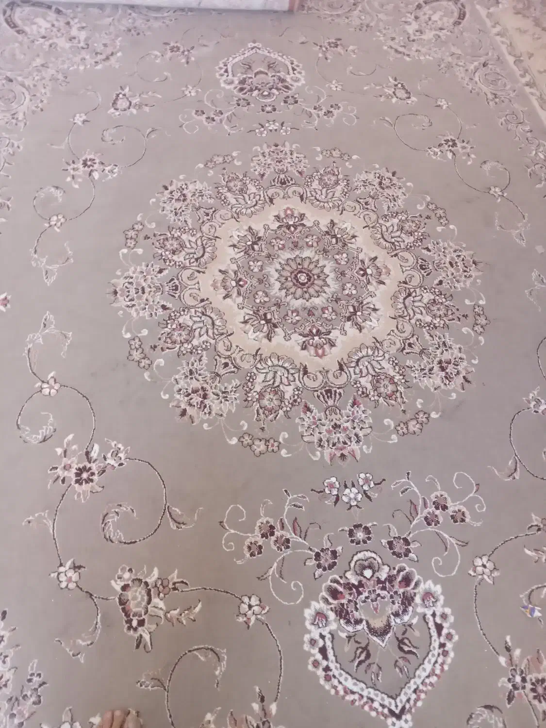 ۲عددقالی ۱۲متری سالم وبدون زدگی|فرش|قوچان, |دیوار