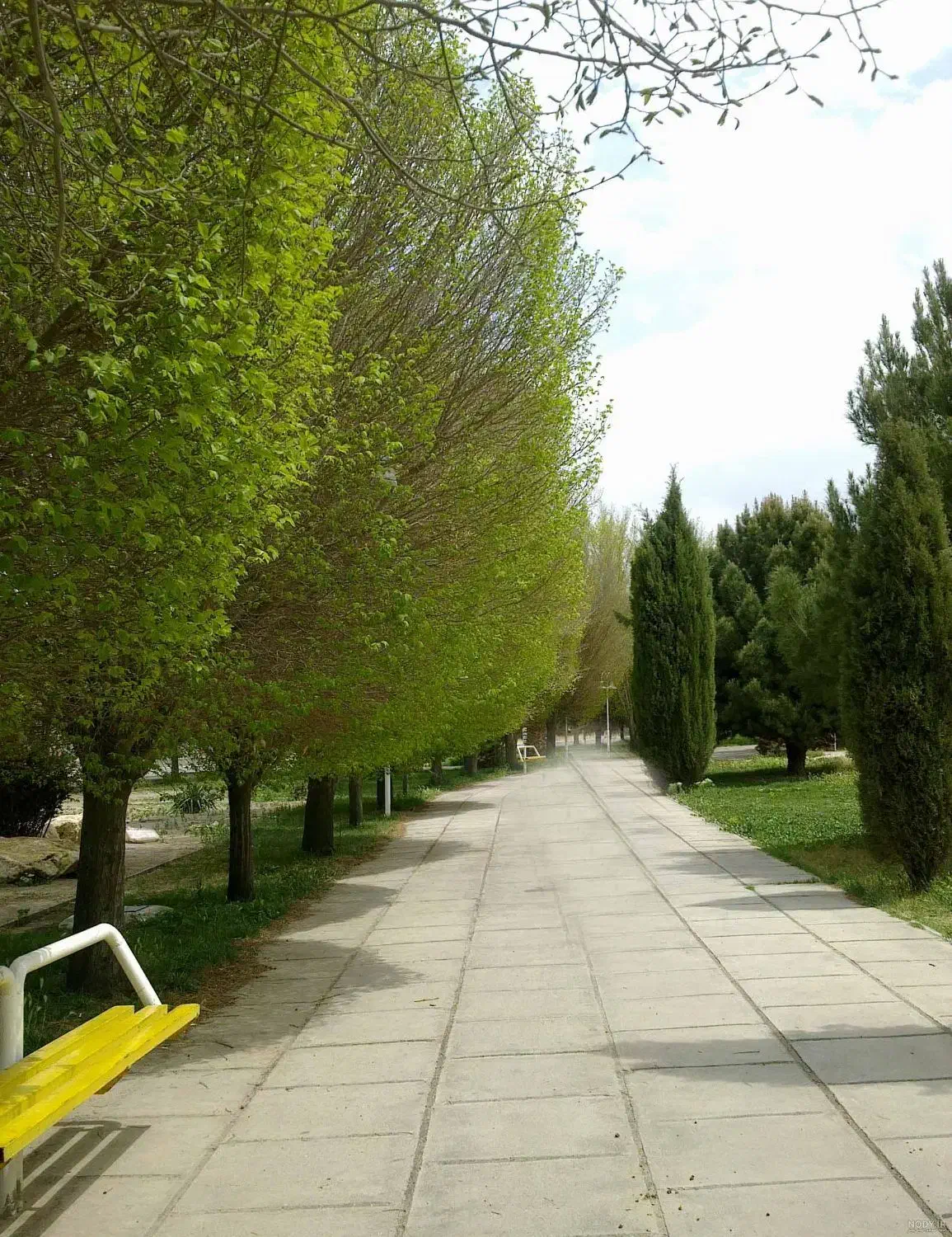 ورزش همگانی|رویداد ورزشی|شاهین‌شهر, طالقانی|دیوار