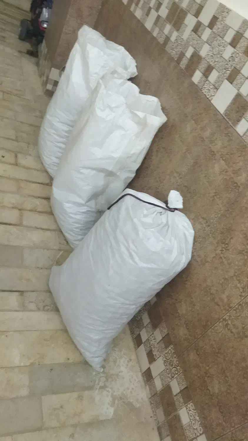 گردو کاغذی امسال کاملاً خشک خوش طعم|خوردنی و آشامیدنی|شاهین دژ, |دیوار