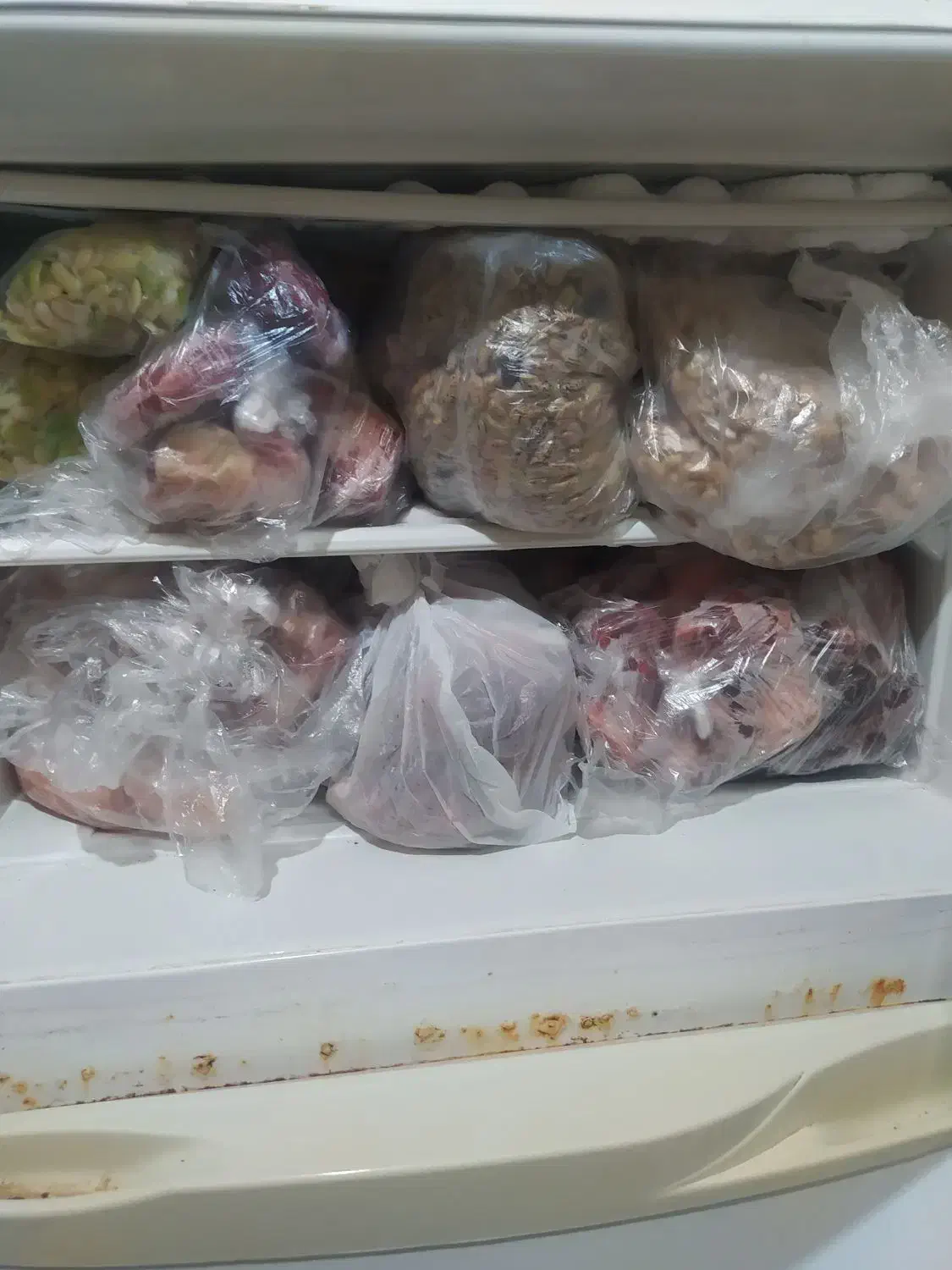 یخچال فریزر الکترو لوکس در حال استفاده|یخچال و فریزر|رشت, سعدی (تختی)|دیوار