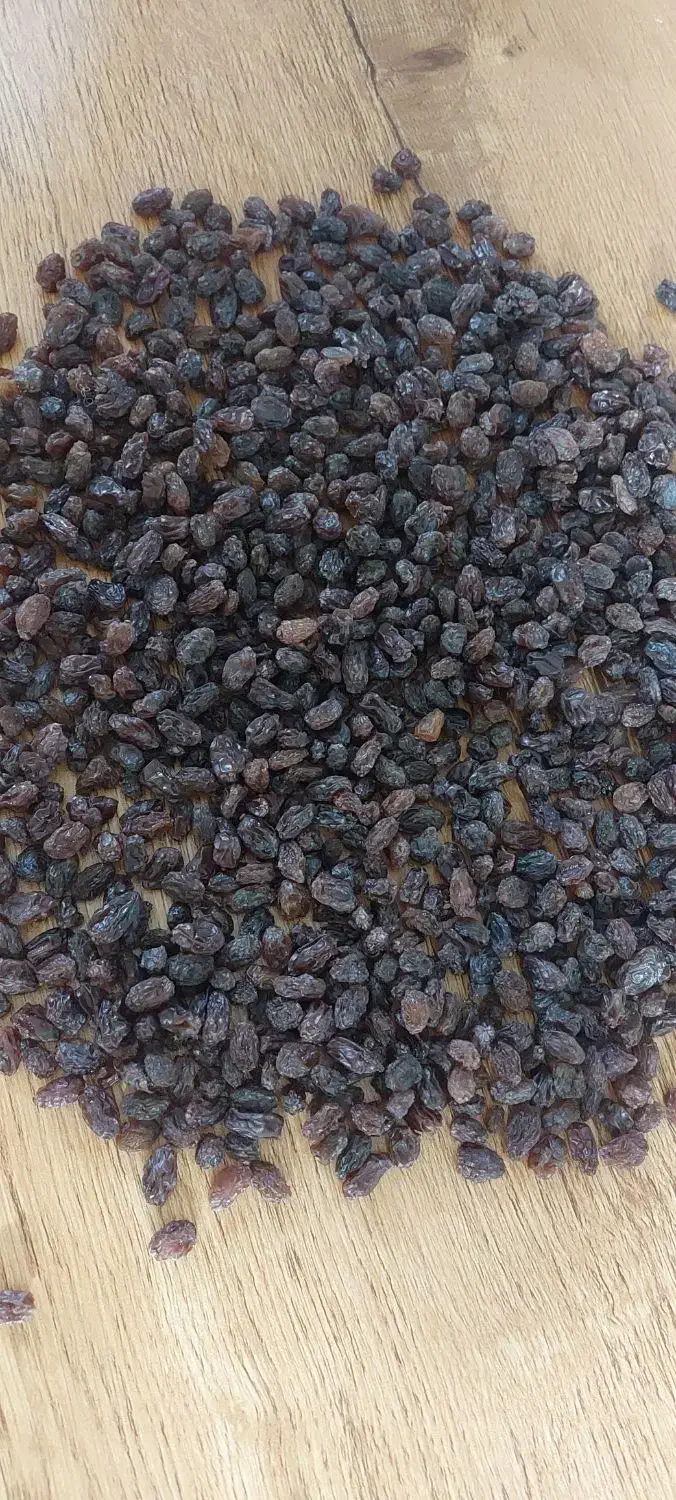 کشمش آفتابی|خوردنی و آشامیدنی|قم, شهدا|دیوار