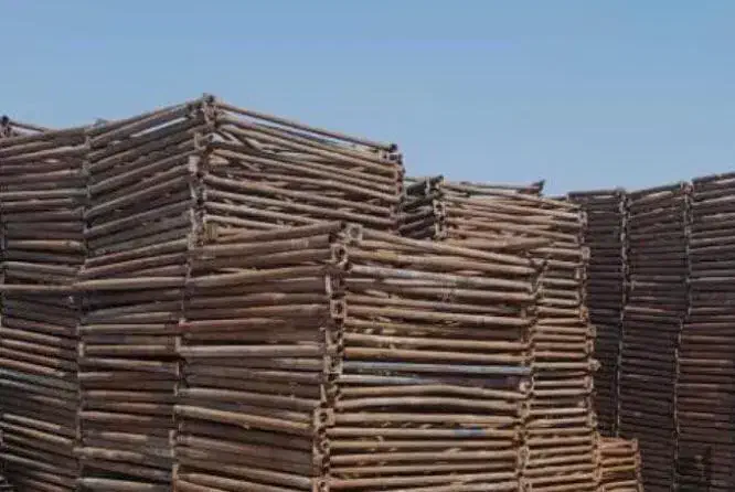 فروش و خرید انواع قالب ساختمانی|مصالح و تجهیزات ساختمان|مشکیندشت, |دیوار