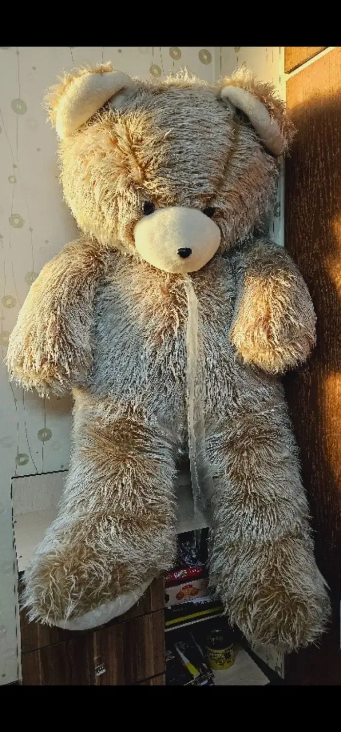 عروسک خرس|اسباب‌‌بازی|قم, هفت تیر|دیوار