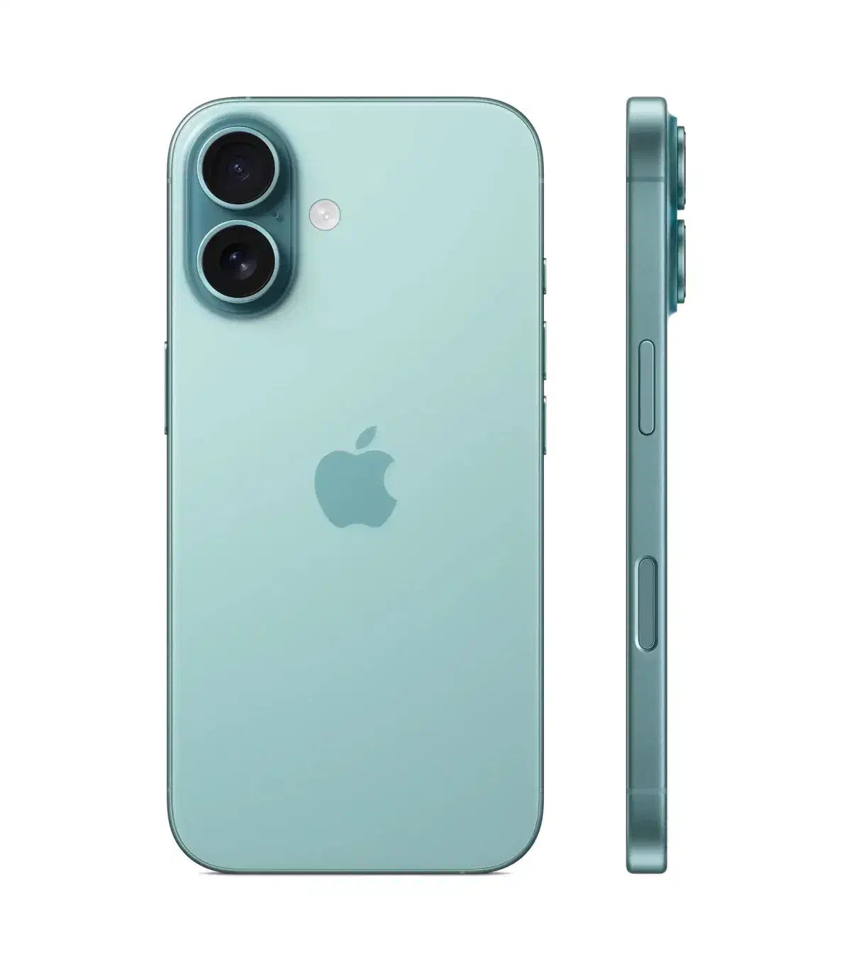 iphone 16 نرمال ۱۲۸ (نات اکتیو پلمپ)|موبایل|اردبیل, |دیوار