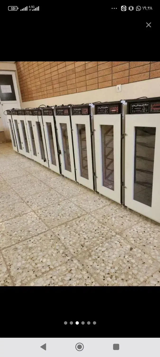 دستگاه جوجه کشی|لوازم جانبی حیوانات|بوشهر, |دیوار