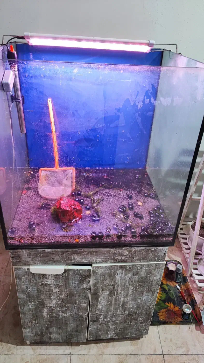اکواریوم شیشه ریملس|ماهی|اهواز, آریاشهر|دیوار