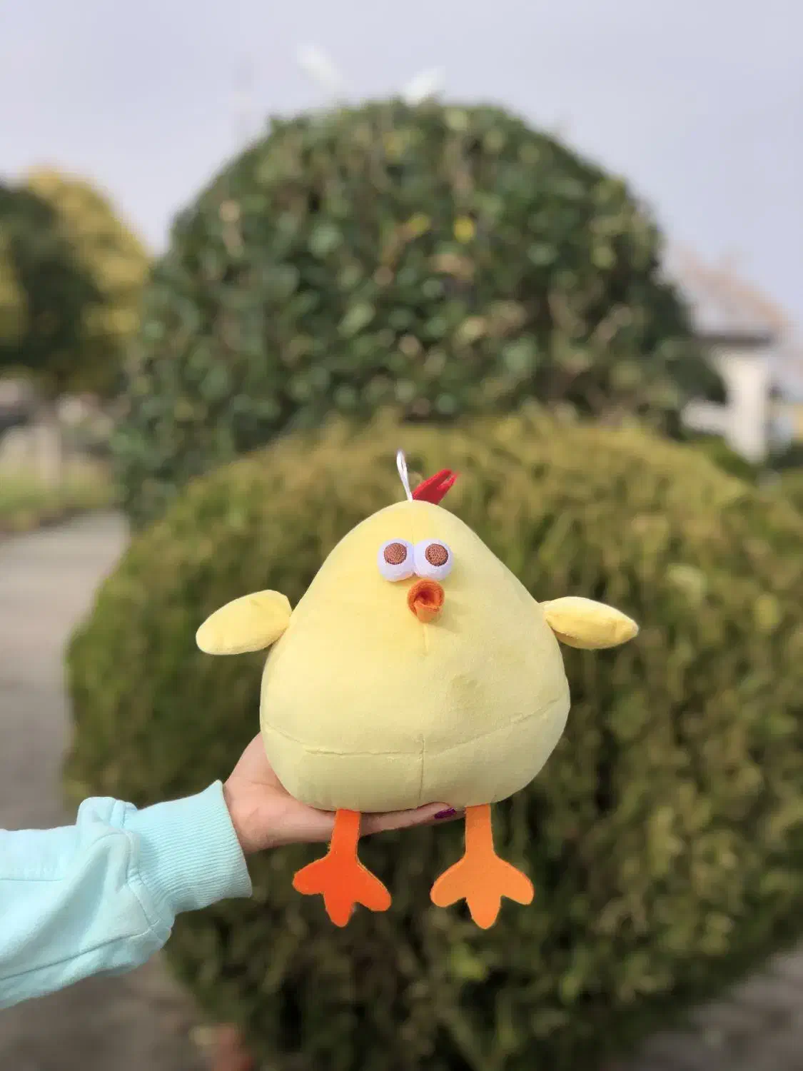 عروسک جوجو|اسباب‌‌بازی|کلاچای, |دیوار