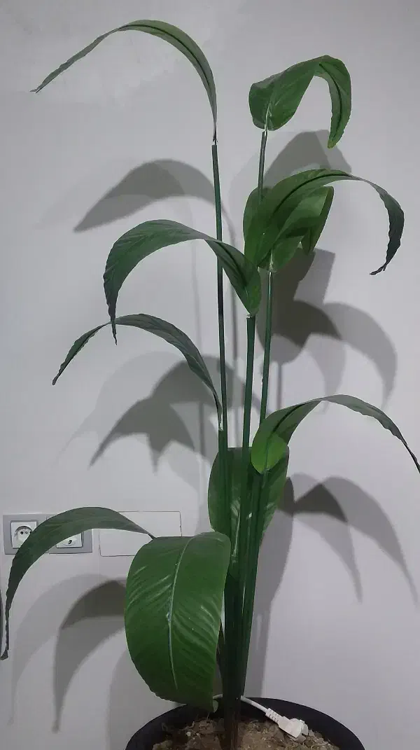 درختچه مصنوعی|گل مصنوعی|کوهدشت, |دیوار