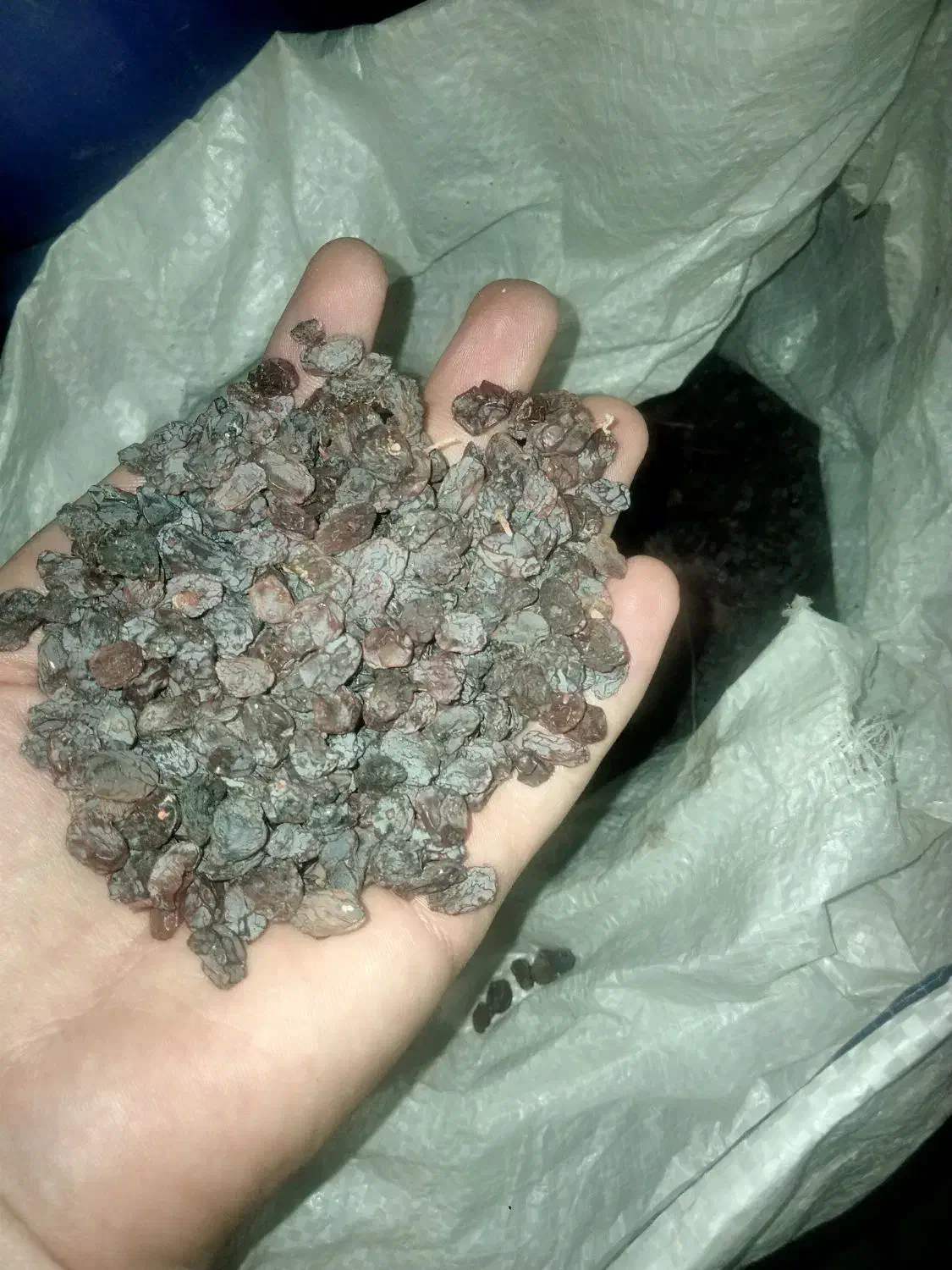 کشمش تازه تاکستان|خوردنی و آشامیدنی|اندیشه, اندیشه فاز ۲|دیوار