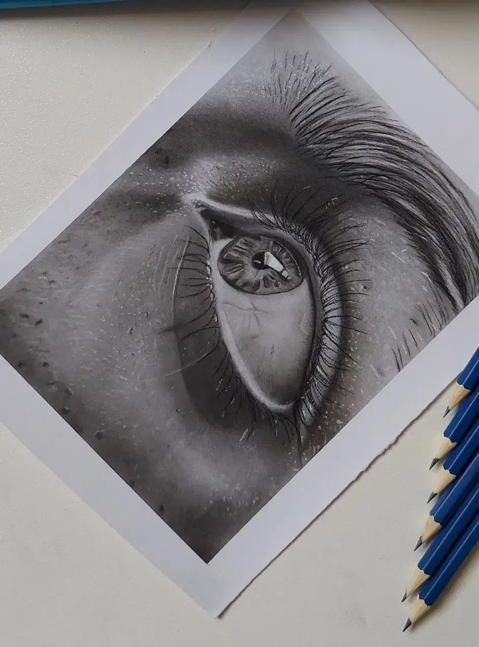 طراحی چهره|تابلو، نقاشی، عکس|اسلام‌شهر, شهرک مهدیه|دیوار