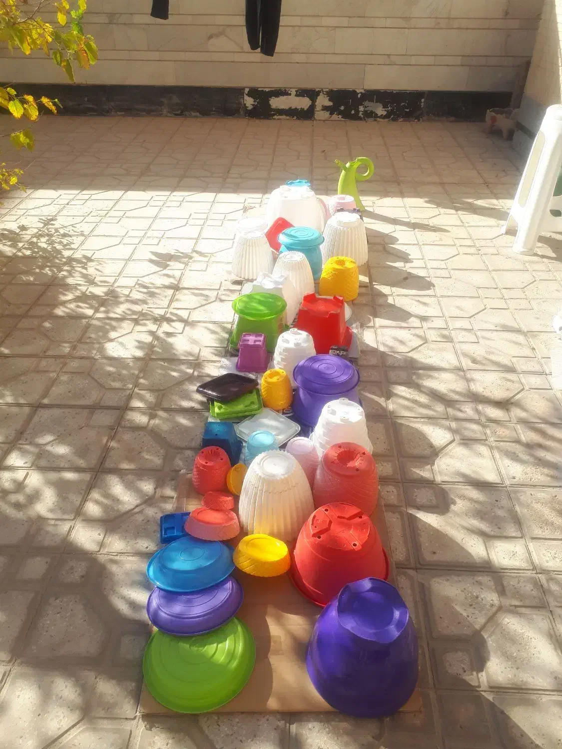 گلدان پلاستیکی وسفالی|گل و گیاه طبیعی|شاهین‌شهر, فردوسی|دیوار