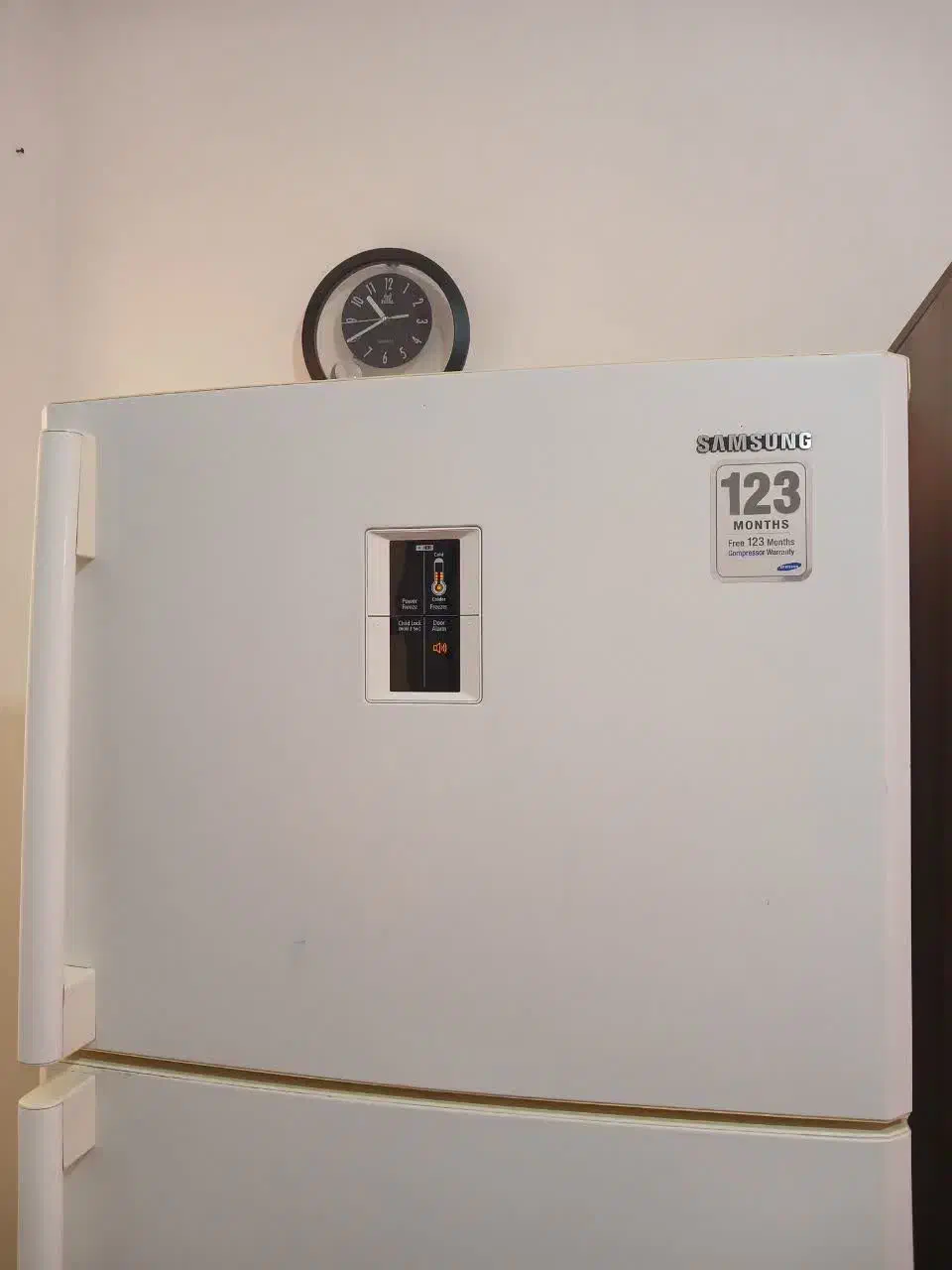 یخچال فریزر سامسونگ اصلی|یخچال و فریزر|مشهد, الهیه|دیوار