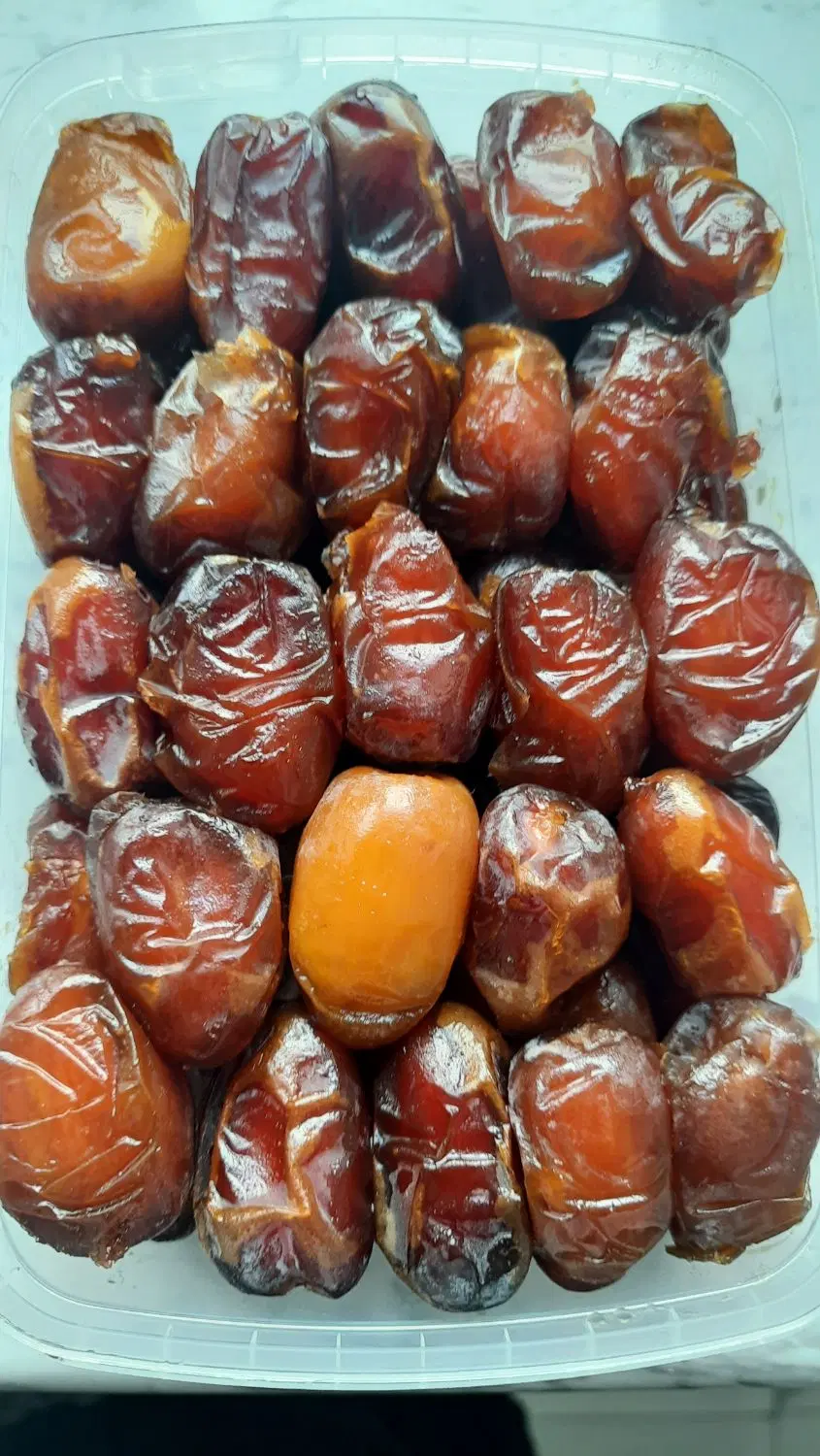 رطب و خارک که همین الان چیده شده|خوردنی و آشامیدنی|تهران, جلیلی|دیوار