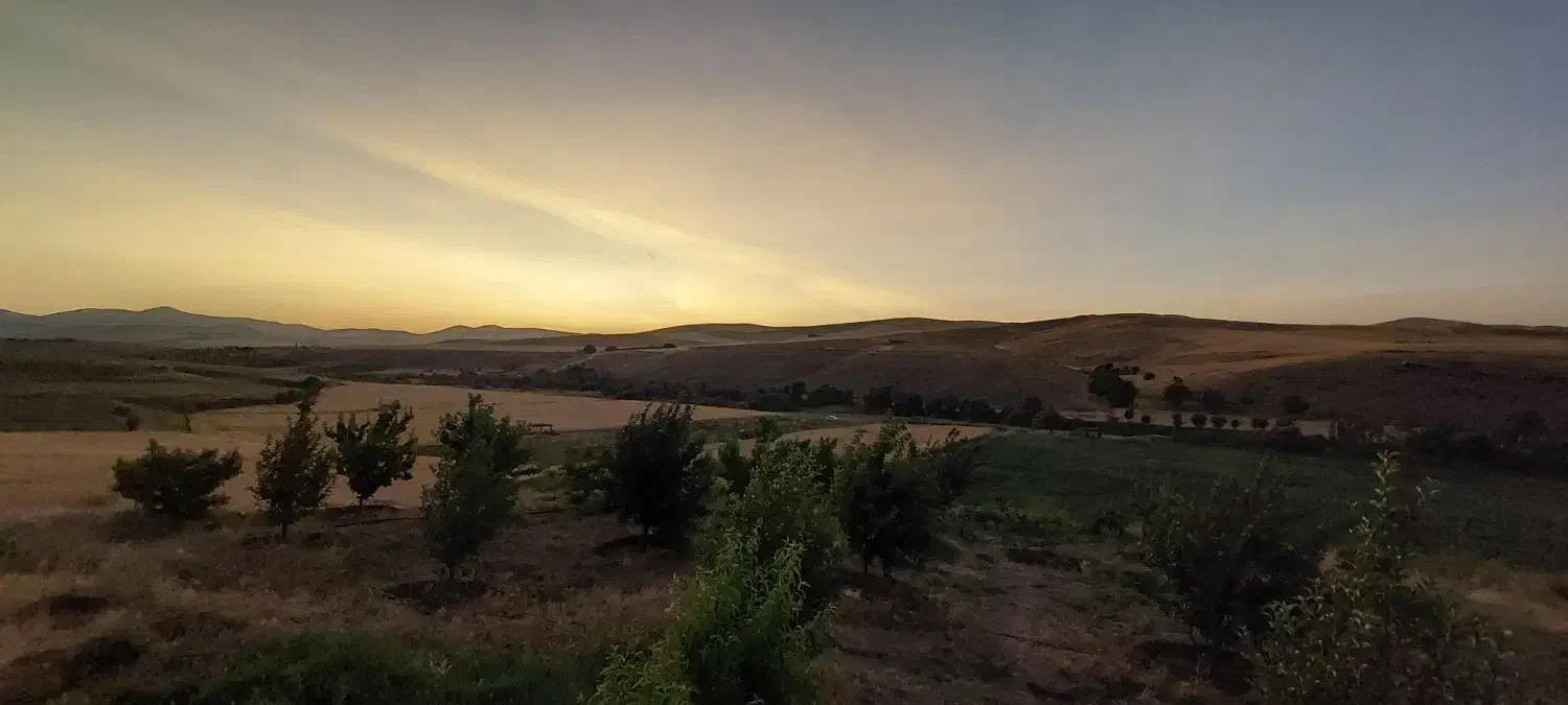 فروش یک هکتار زمین کشاورزی سرچاوه-سلیمانکندی|فروش دفتر صنعتی، کشاورزی، تجاری|سقز, |دیوار